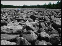 Hickory Run Boulder Field