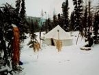 North Woods Ways tent in Labrador snow