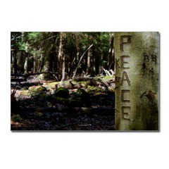 peace tree postcard