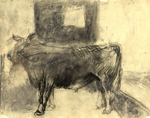 sketch of bull at animal auction