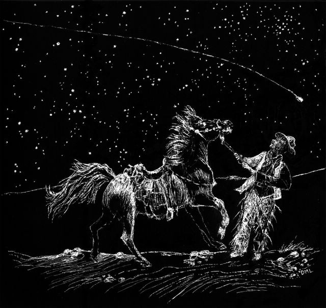 scratchboard drawing of horse, man & starry sky