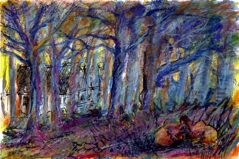 oak trees Austintown pastel