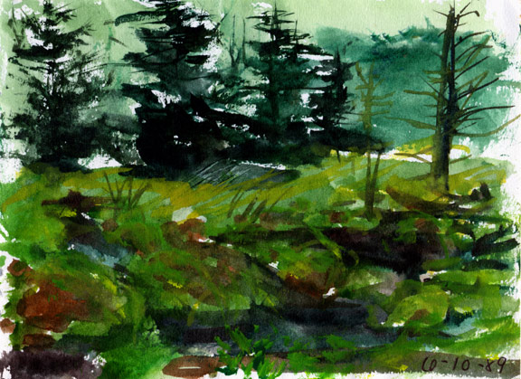 watercolour of bog