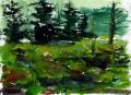 Buy Art from Diana Ludwig: Moore Bog II