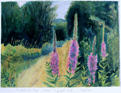 Crybaby Bridge Loosestrife along Egypt Road, Salem watercolour & watercolour pencil