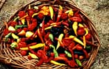 basket hot peppers