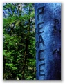 peacetree3458blu.jpg