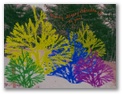 pine_pattern.jpg