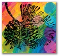 pinecone_rainbow.jpg