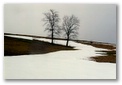 snowfieldw3_copy.jpg