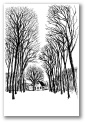 tree_way.jpg