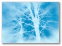 trees_oneo.jpg