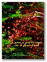 xmas_pear_tree.jpg