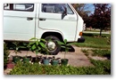 vw_van_avacado.jpg